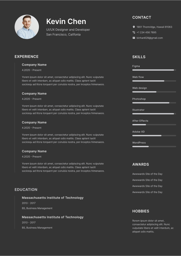 Resume Template Horizon